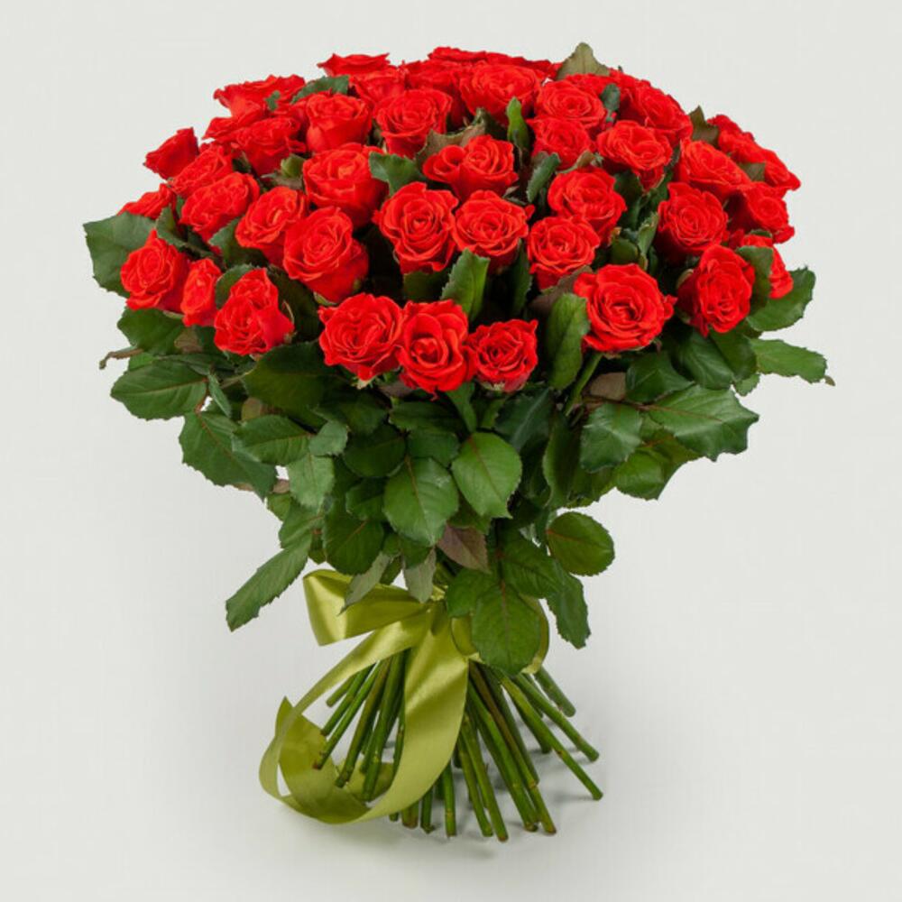 51 роза эль Торро